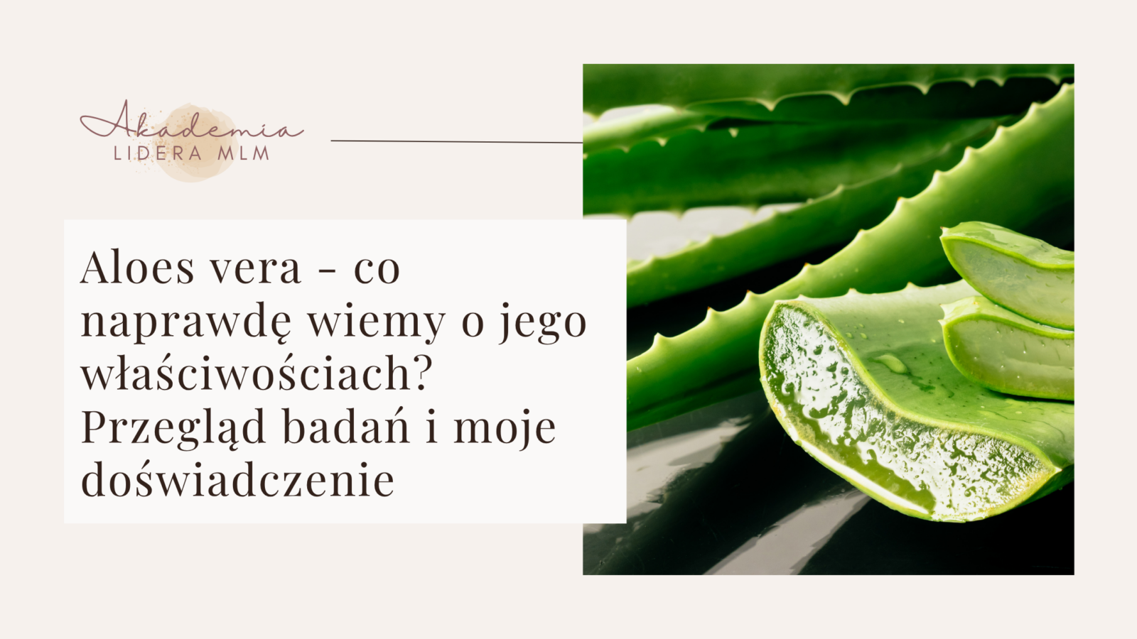 Aloes vera – co naprawdę wiemy o jego właściwościach Przegląd badań i moje doświadczenie Aloes vera - co naprawdę wiemy o jego właściwościach? Przegląd badań i moje doświadczenie Justyna Kopeć Akademia Lidera MLM